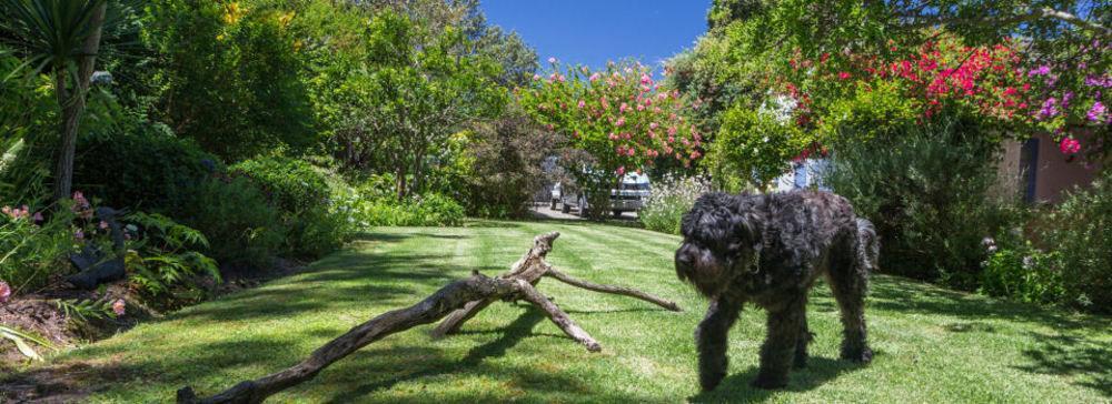 Cornerway House Otel Plettenberg Bay Dış mekan fotoğraf