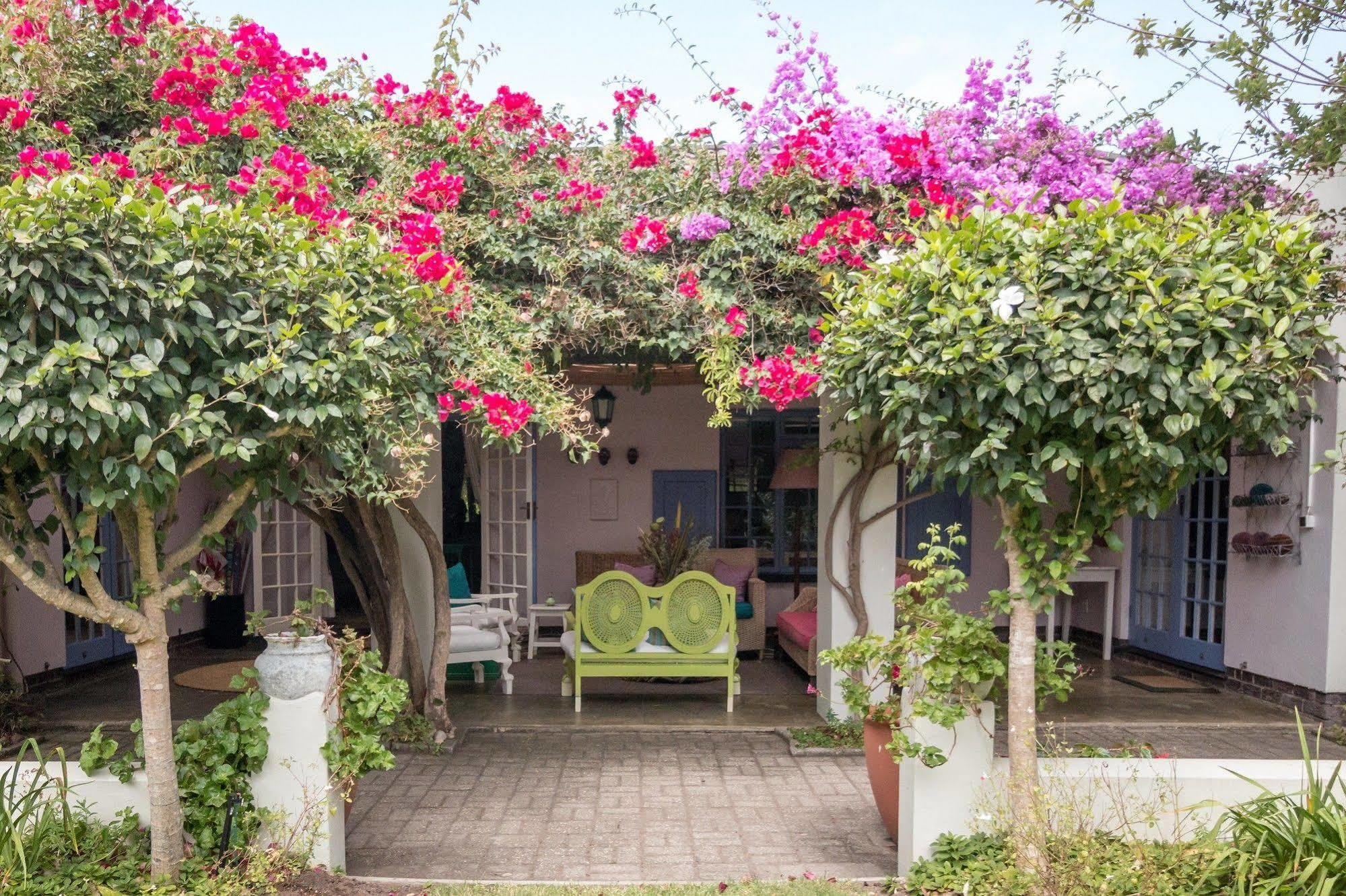 Cornerway House Otel Plettenberg Bay Dış mekan fotoğraf